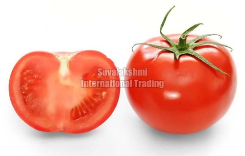 Fresh tomato, Speciality : Rich In Taste, Hygienic, Natural Taste, Healthy