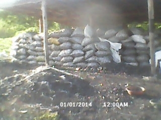 Hardwood charcoal, Shape : Lumps