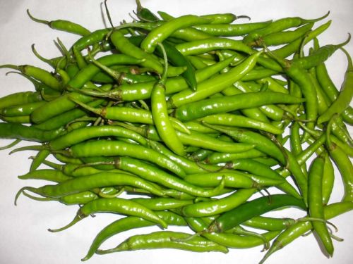 Organic Fresh Green Chilli