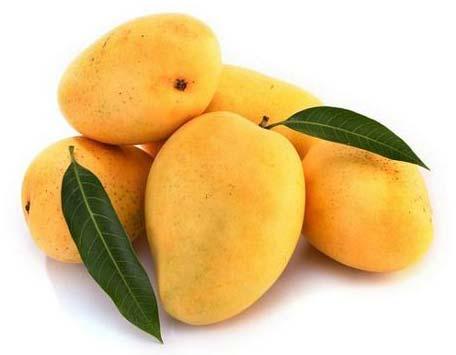 Common Fresh Kesar Mango