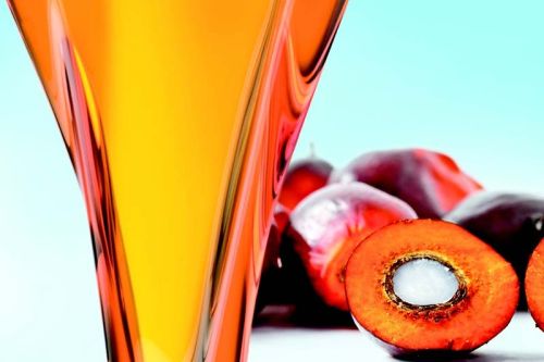 Crude palm oil, Shelf Life : 1year