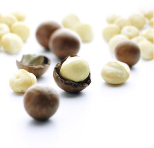 Macadamia nut