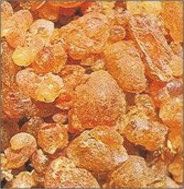 Gum Arabic, Shelf Life : 2-3 year