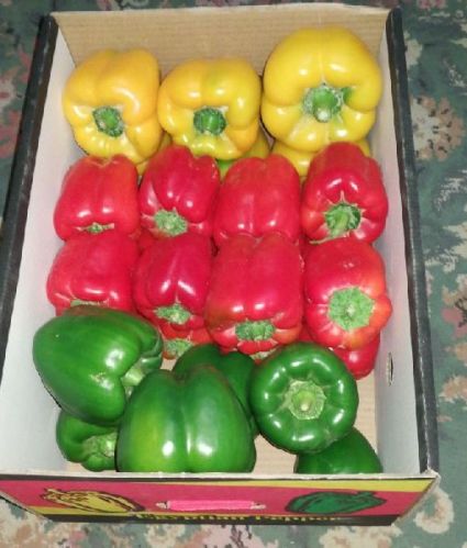 Fresh Bell Pepper