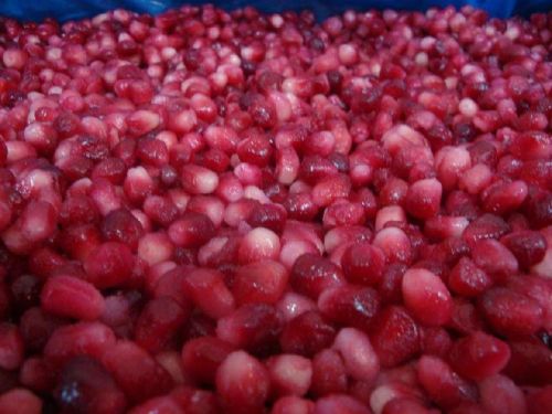 MODERN IQF Pomegranates, Certification : ISO9001