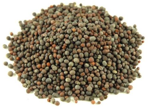 Organic Mustard Seeds