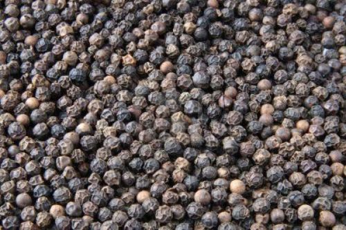 Raw black pepper, Brand Name : nyuan