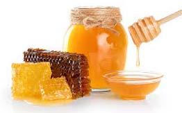 Organic Raw Honey