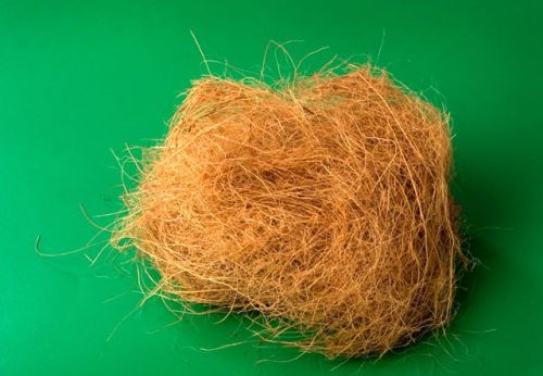 Coconut Coir Fiber