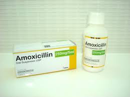 Amoxicillin