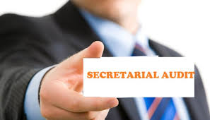 Company Secretarial Audit