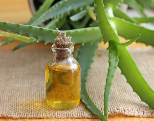 Aloe Vera Oil