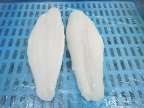 Frozen Pangasius