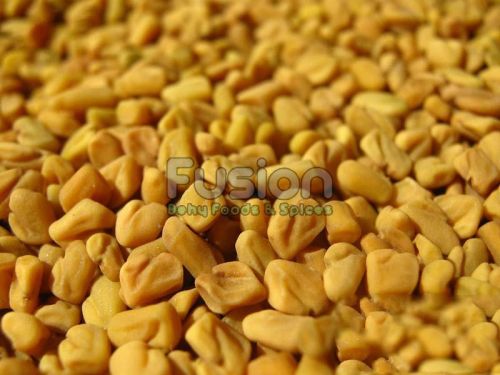 Organic Fenugreek Seeds, Shelf Life : 1year