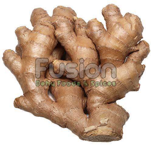 Organic Fresh Ginger, For Cooking, Packaging Type : Plastic Packet