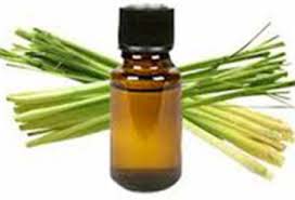 Lemongrass Essential Oil, Purity : 100%