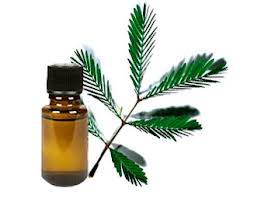 Mimosa Absolute, Purity : 100%