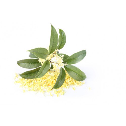 Osmanthus Absolute Oil, Purity : 100%