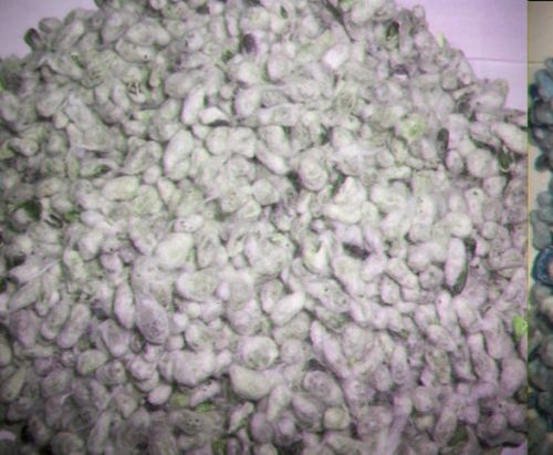 PK-CS-1002 Common Cotton Seed Hull, Packaging Type : White