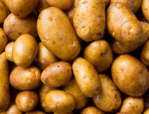 Bluebill International New Year Fresh Potato, Certification : ISO