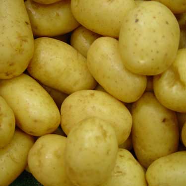 Bluebill International Potatoes Frozen, Certification : ISO