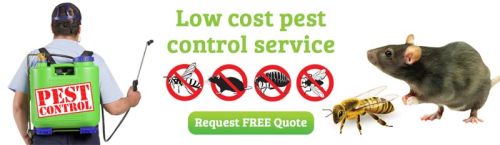 Pest control services