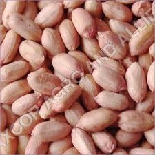 Groundnut Kernels