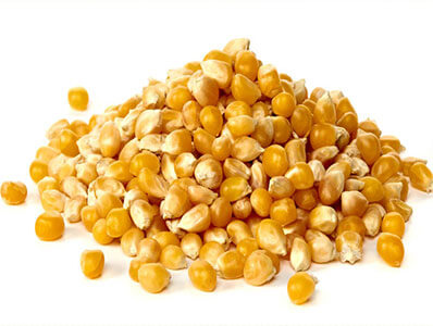 Yellow corn, Purity : 95%