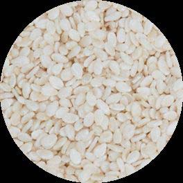 Organic Hulled Sesame Seeds, For Making Oil, Packaging Type : Plastic Bag