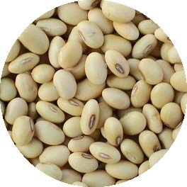 Organic Soybean Seeds, For Human Consumption, Packaging Type : Plastic Bags