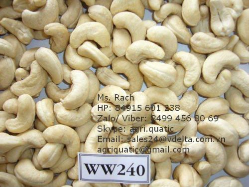 Vietnam Cashew Nut
