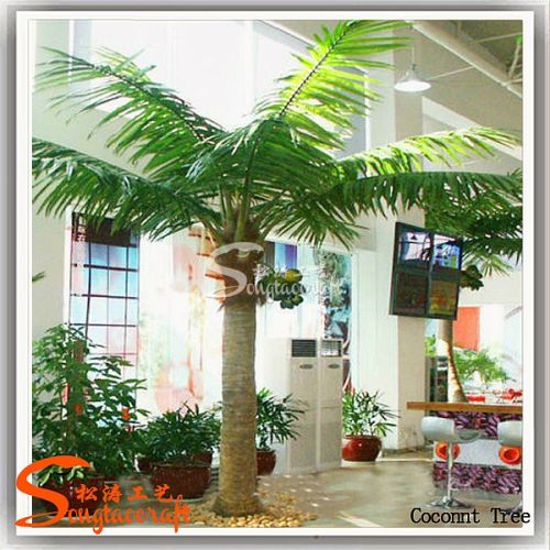 Coconut Palm Tree, Packaging Type : can be customized