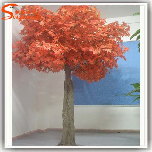 Maple can be customized