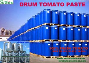 Chinese Bulk Tomato Paste, Certification : ISO, HACCP, GMP