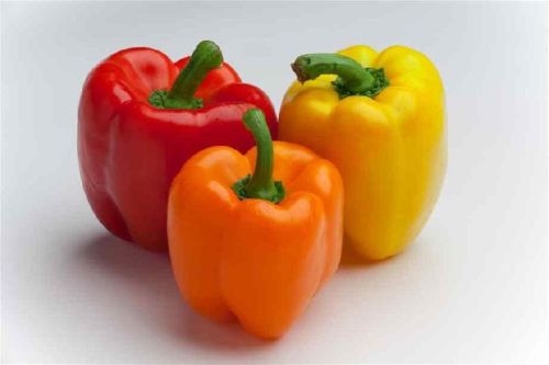 Bell Pepper