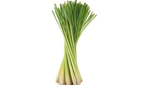 Fresh Lemongrass