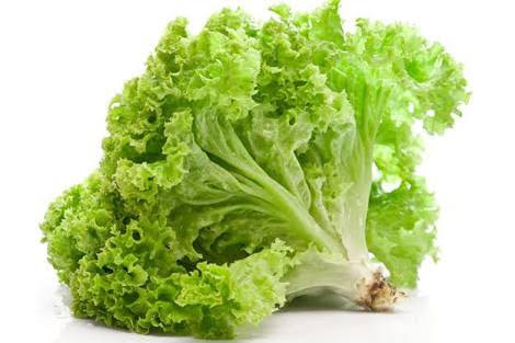 Leafy Lettuce, Packaging Type : Guny Bag
