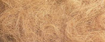 Coir Fiber