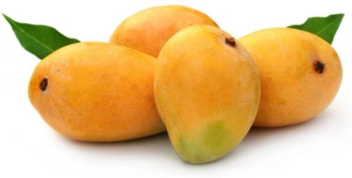 Organic Fresh Mango,fresh Mango, Packaging Type : Corrugated Box
