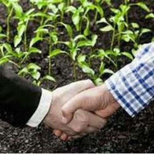 Contract Farming Services