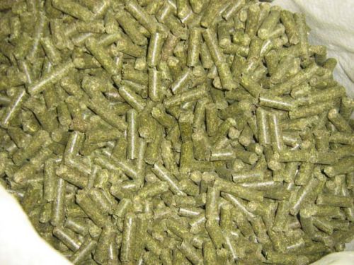 Alfalfa Pellets, Certification : ISO