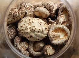 Dried mushroom, Certification : ISO