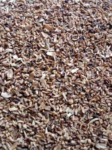 Chicory Seeds, Grade : Pharm Food Grade