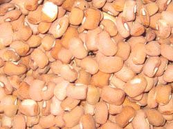 African Brown Beans