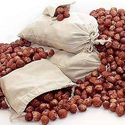 Soap Nuts