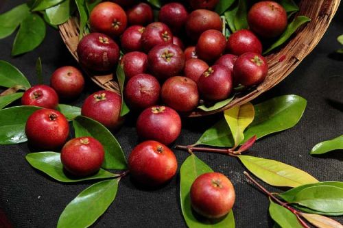 Garcinia Kokum, For Butter, Juice, Feature : Fresh