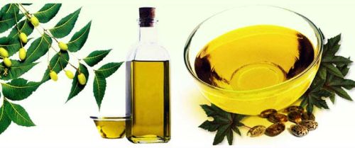 Neem Oil