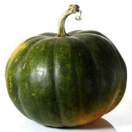 Fresh Pumpkin, Packaging Type : Net Bag