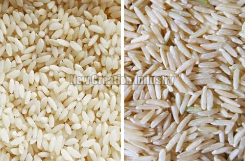 Basmati Rice