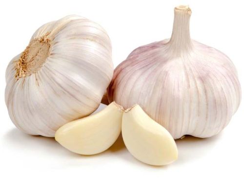 Fresh garlic, Country of Origin : India